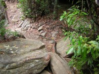 20050227-RedHill 074